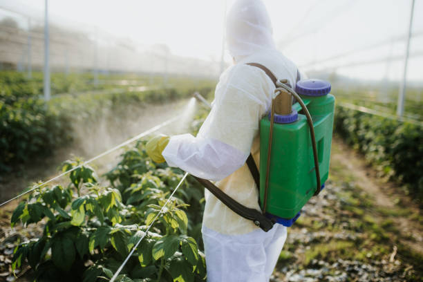 Best Best Pest Control Companies  in West Pleasant View, CO